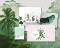 Trenddossier: zo mooi is groen (ook op je geboortekaartjes)